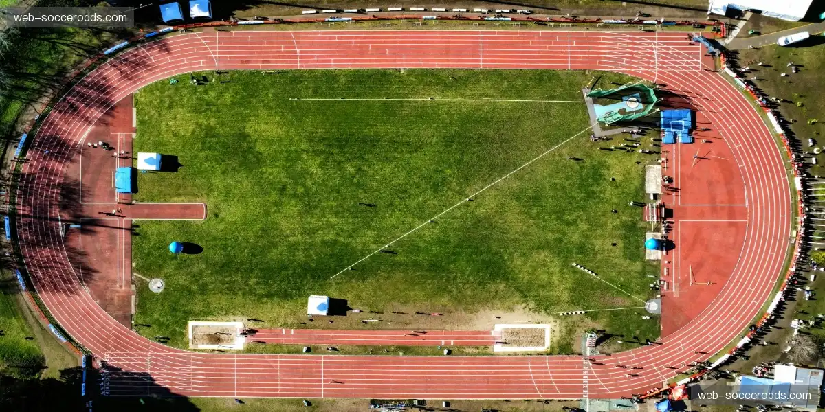 📸 抓住冠军振臂瞬间，永恒经典不容错过！💎